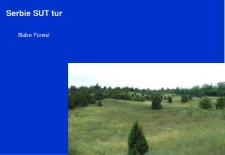 Serbie SUT tur