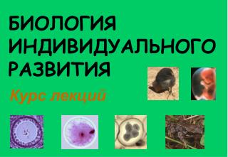 БИОЛОГИЯ ИНДИВИДУАЛЬНОГО РАЗВИТИЯ