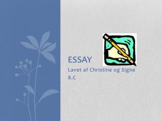 essay