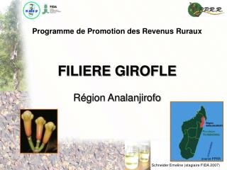 Programme de Promotion des Revenus Ruraux FILIERE GIROFLE Région Analanjirofo