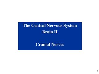 The Central Nervous System Brain II Cranial Nerves