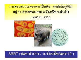 SRRT ( สสจ.ลำปาง / อ.วังเหนือ/สคร.10 )