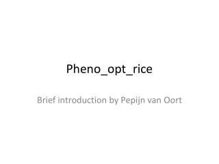 Pheno_opt_rice