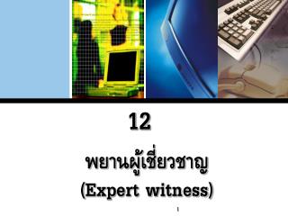 พยานผู้เชี่ยวชาญ ( Expert witness)