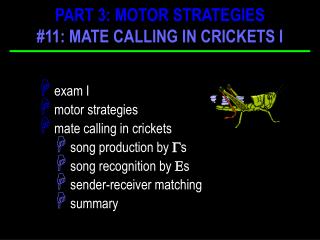 exam I motor strategies mate calling in crickets song production by  s