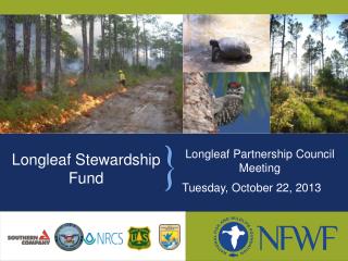 Longleaf Stewardship Fund