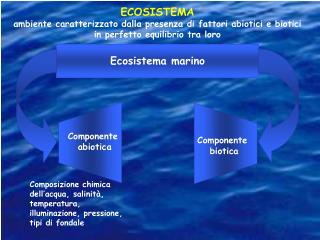 ECOSISTEMA