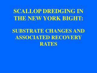 SCALLOP DREDGING IN THE NEW YORK BIGHT: SUBSTRATE CHANGES AND ASSOCIATED RECOVERY RATES