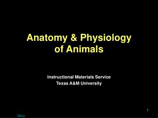 Anatomy &amp; Physiology of Animals