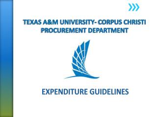 TEXAS A&amp;M UNIVERSITY- CORPUS CHRISTI PROCUREMENT DEPARTMENT