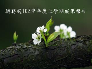 總務處 102 學年度上學期成果報告