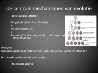 De centrale mechanismen van evolutie