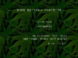 מריחואנה – פרויקט מסכם