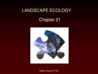 LANDSCAPE ECOLOGY