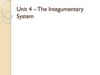 Unit 4 – The Integumentary System