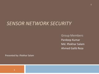 Sensor Network Security