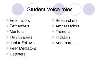 Student Voice roles