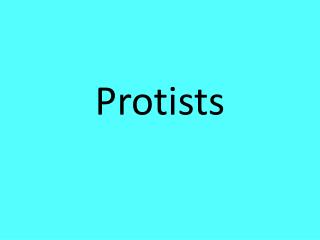 Protists