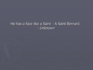He has a face like a Saint - A Saint Bernard. - Unknown