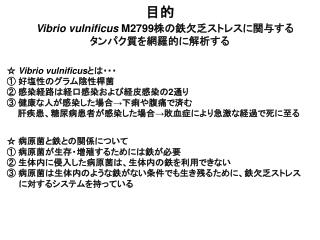 Vibrio vulnificus M2799 株の鉄欠乏ストレスに関与する タンパク質を網羅的に解析する