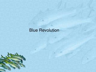 Blue Revolution