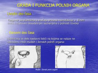 Uvodni deo časa
