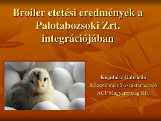 Broiler etetési eredmények a Palotabozsoki Zrt. integrációjában