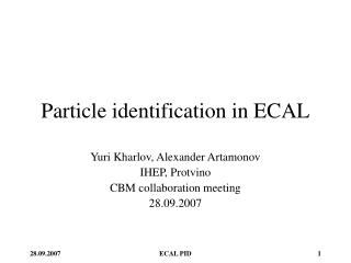 Particle identification in ECAL