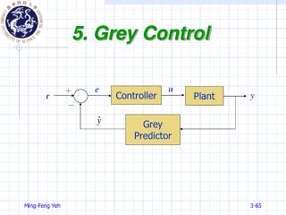 5. Grey Control