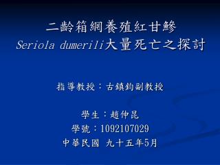 二齡箱網養殖紅甘鰺 Seriola dumerili 大量死亡之探討