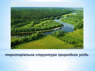 територіальна структура природних угідь
