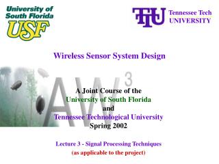 Wireless Sensor System Design