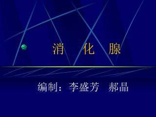 消 化 腺