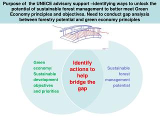 Identify actions to help bridge the gap