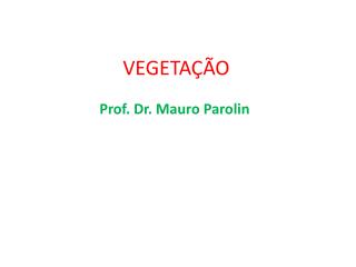 VEGETAÇÃO