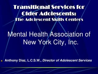 Transitional Services for Older Adolescents: The Adolescent Skills Centers