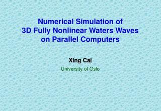 Numerical Simulation of 3D Fully Nonlinear Waters Waves on Parallel Computers