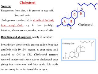 Cholesterol Sources: Exogenous: from diet, it is present in egg yolk, liver and brain.