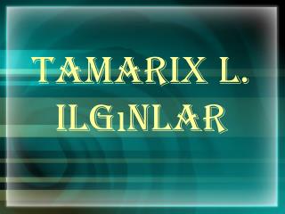 Tamarix L. Ilgınlar