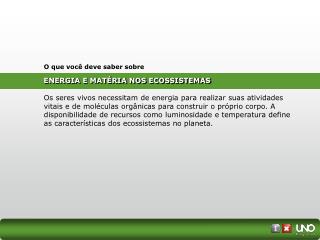 ENERGIA E MATÉRIA NOS ECOSSISTEMAS