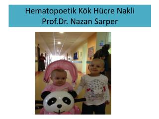 Hematopoetik Kök Hücre Nakli Prof.Dr . Nazan Sarper