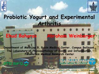 The Autoimmune Paradigm