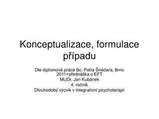 Konceptualizace, formulace případu
