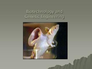 Biotechnology and Genetic Engineering