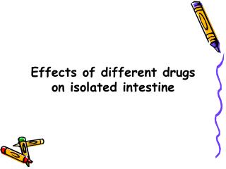 Effects of different drugs on isolated intestine