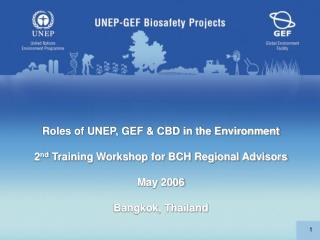 Roles of UNEP, GEF &amp; CBD in the Environment 2 nd Training Workshop for BCH Regional Advisors