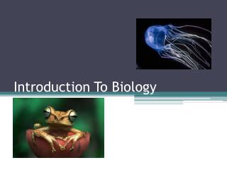 Introduction To Biology