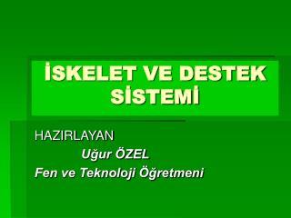 İSKELET VE DESTEK SİSTEMİ