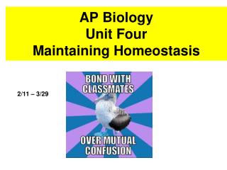 AP Biology Unit Four Maintaining Homeostasis