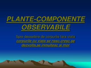 PLANTE-COMPONENTE OBSERVABILE